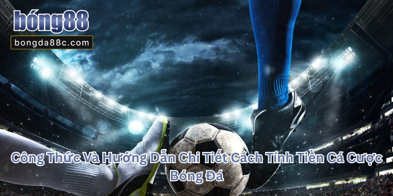 Tỷ lệ và cách tính tiền cá cược bóng đá